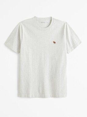 NWT Abercrombie & Fitch Gray Short Sleeve Tee